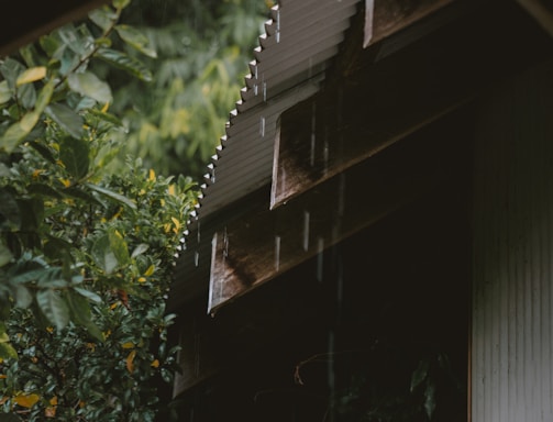 Raindrops fall from an angled corrugated metal roof surrounded by lush green foliage. The area appears quiet and serene, with droplets visibly tracing lines as they descend. The greenery is dense, enveloping the structure and adding to the tranquil atmosphere.