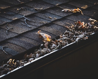 A close-up of a roof gutter filled with dry leaves, with the shingles showing signs of wear and tear. The light casts a warm glow on some of the leaves, enhancing the texture of the dried foliage and the roof's surface.