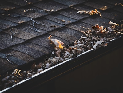 A close-up of a roof gutter filled with dry leaves, with the shingles showing signs of wear and tear. The light casts a warm glow on some of the leaves, enhancing the texture of the dried foliage and the roof's surface.