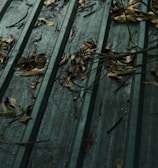 A green metal roof covered with dry leaves and twigs scattered across its surface. The texture of the roof is ribbed, creating parallel lines that highlight the accumulation of organic debris. The leaves vary in size and shape, some curled and others flattened against the roof.