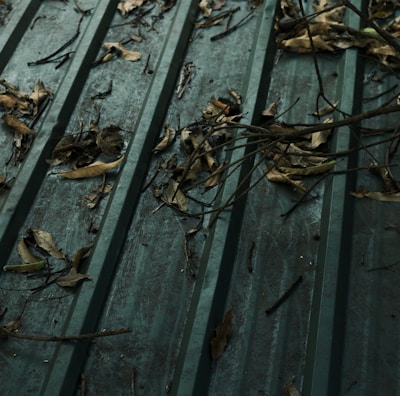 A green metal roof covered with dry leaves and twigs scattered across its surface. The texture of the roof is ribbed, creating parallel lines that highlight the accumulation of organic debris. The leaves vary in size and shape, some curled and others flattened against the roof.